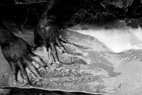 coltan-judithprat09.jpg