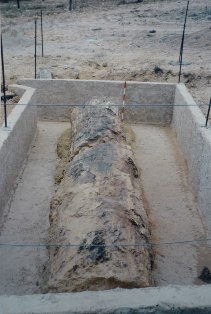 dossierantiguo(8).JPG