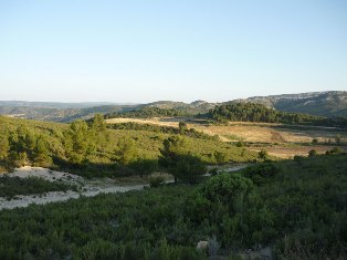 vallipon(1).JPG