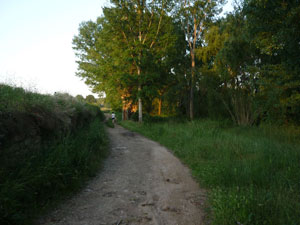 caminohuerta(21).jpg