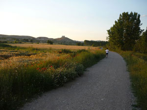 caminohuerta(23).jpg