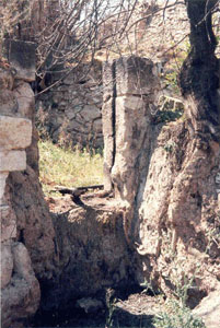 restos-balsa-molino.jpg